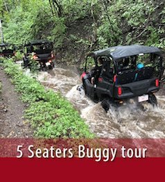 Side by side 5-seaters tour
