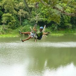 Half Day Canopy Tour