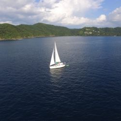 Snorkeling and Sailing morning cruise