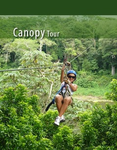 Half Day Canopy Tour