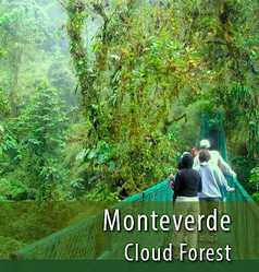 Monteverde Cloud Forest