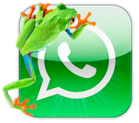 Whatsapp icon